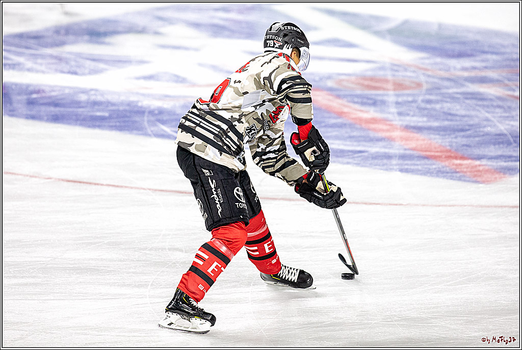 DEL; Koelner Haie - Straubing Tigers; Koeln, 17.11.2019